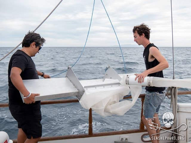 Ein Crewmitglied von Sea Shepherd und ein Forscher bei der Entnahme von Wasserproben. Foto: Sea Shepherd