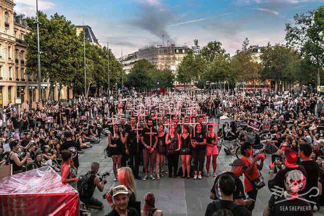endegrind3Hunderte Menschen demonstrieren in Paris gegen das Grindadráp.