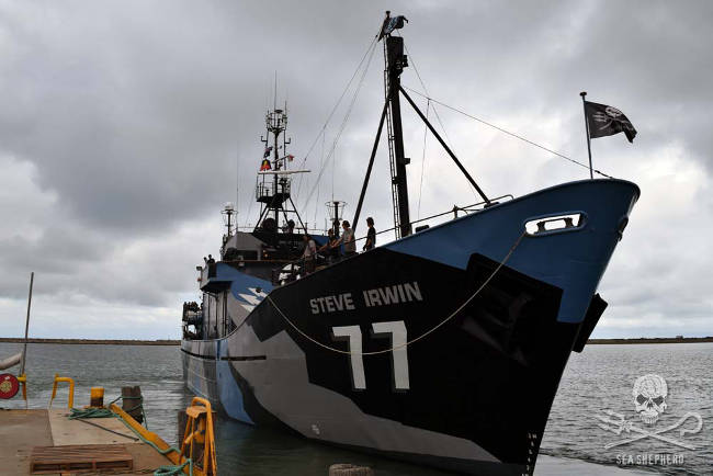 Die STEVE IRWIN legt in Fremantle ab und nimmt Kurs auf das Südpolarmeer. Foto: Heather Lindgren