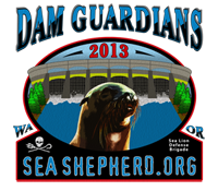 logo-dam-guardian-200