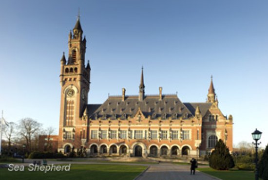 news-130625-ICJ FrankVanBeek 300x202